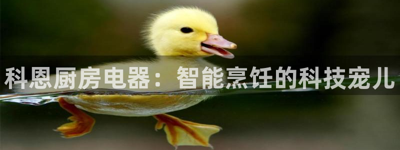 摩登3褚7O667