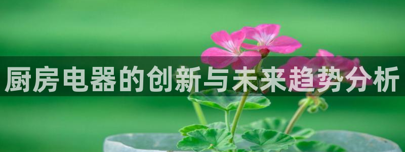摩登7平台