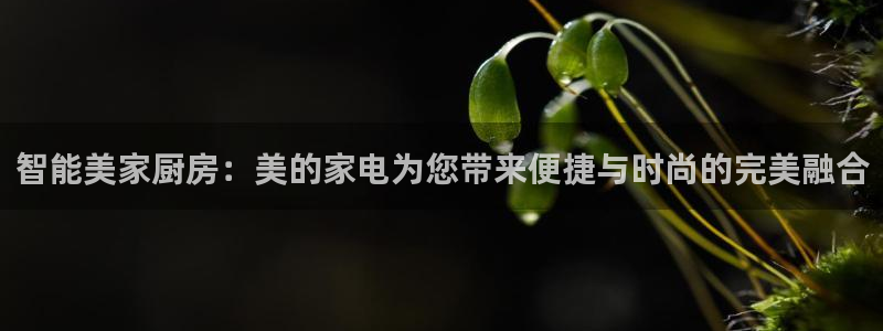 摩登3前7O667