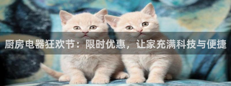 摩登7平台app