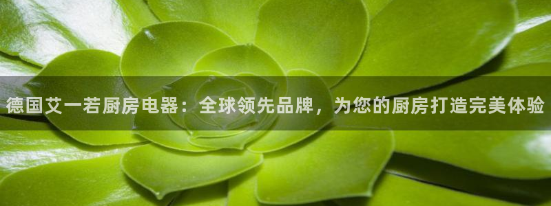 摩登7app网址下载