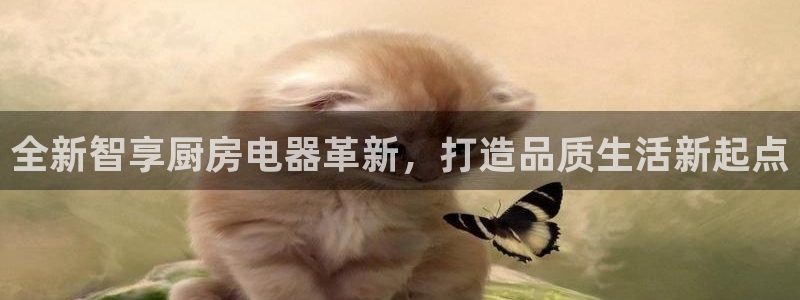 摩登6天7O667
