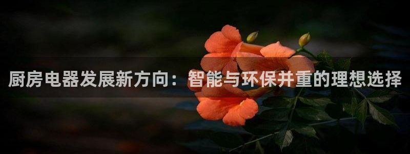 摩登7天7O667
