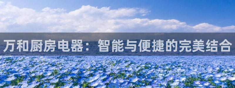 摩登7右