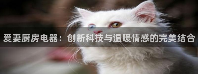 摩登7上3299O7