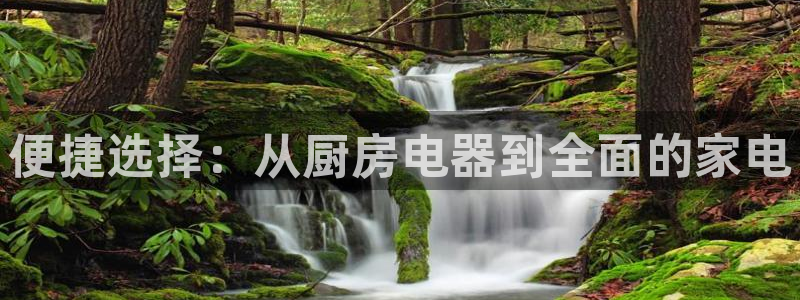 摩登4地7O667