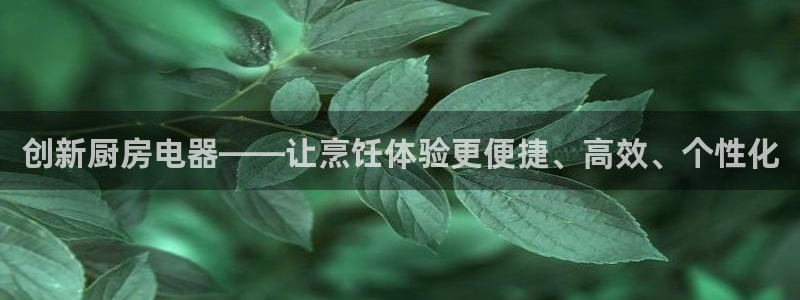 摩登7彩票平台登陆总代