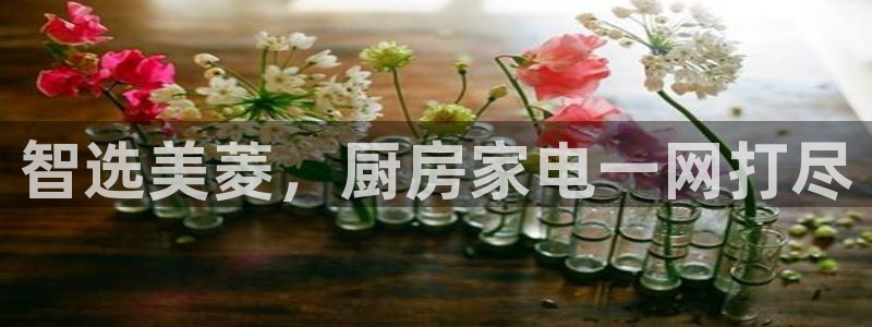 摩登3后7O667