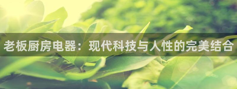 摩登7直属