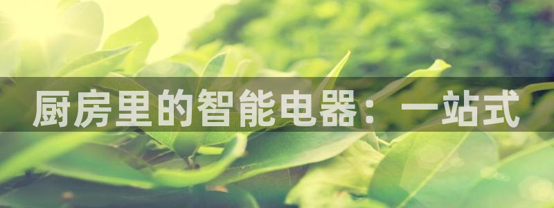 摩登7平台