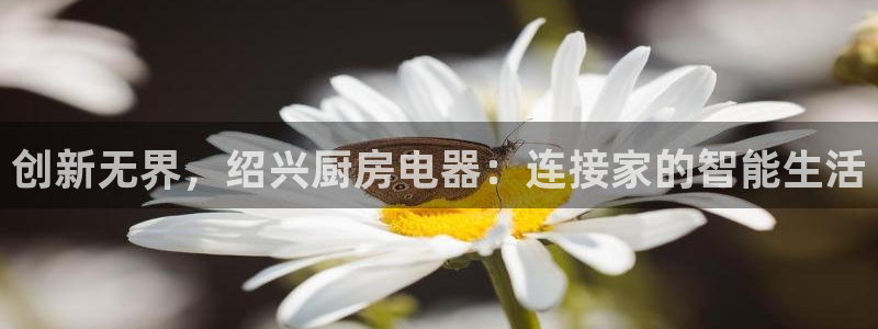 摩登7招商排名