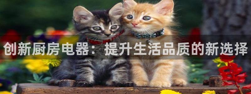 摩登7后