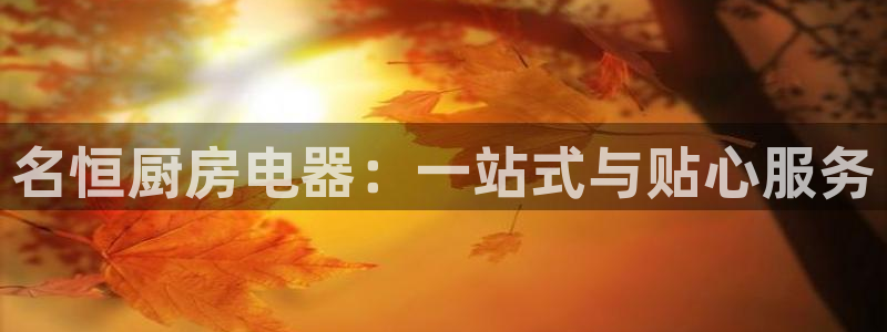 摩登口碑7