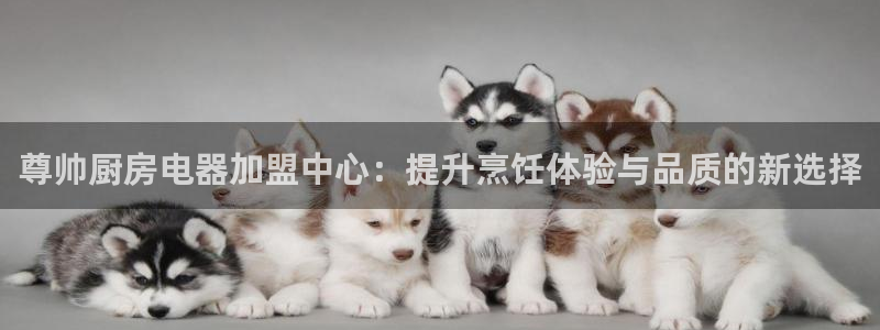 摩登7直属