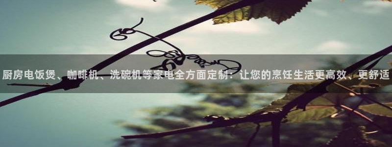 摩登7平台首页