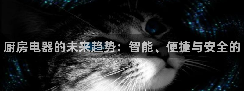 摩登7怎么联系客服
