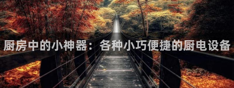 摩登7怎么联系客服
