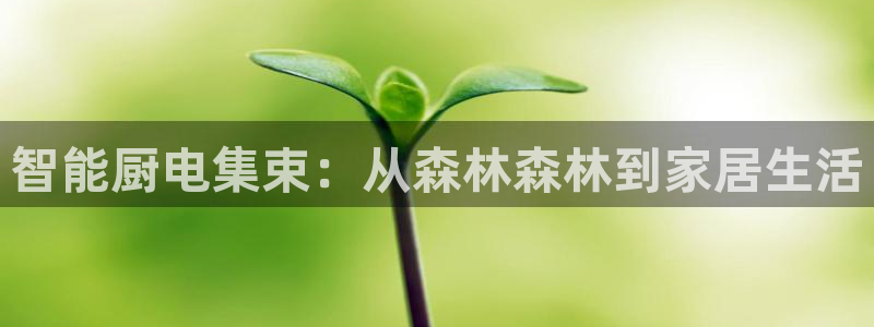 摩登7平台382223