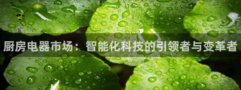 摩登7官网的详细介绍