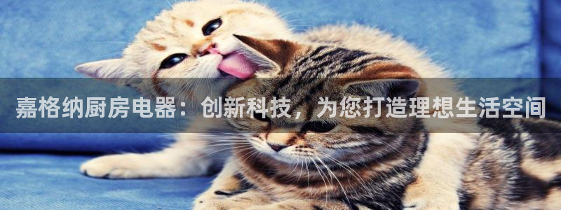 摩登7上