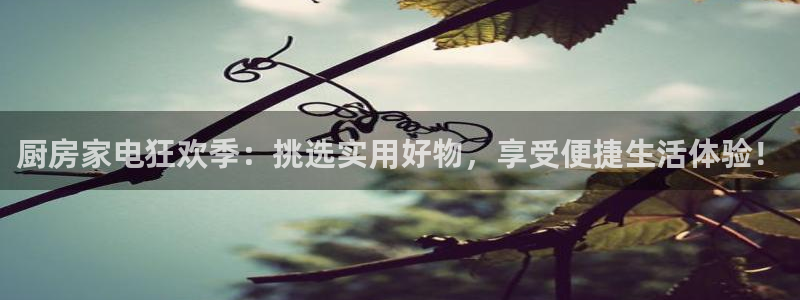 摩登7地址