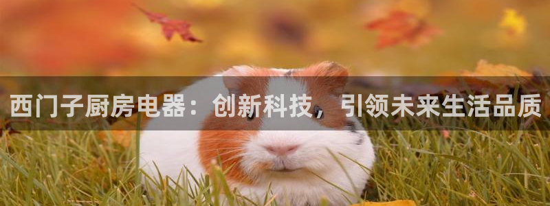 摩登系列摩登7