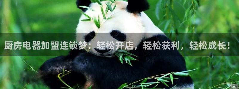 摩登7左7O667