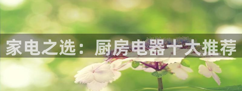 摩登7app下载