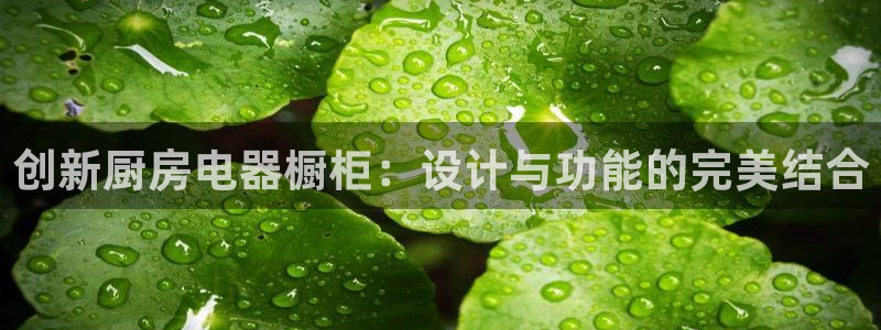 摩登6地7O667