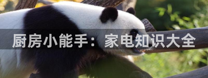 摩登7属于什么平台