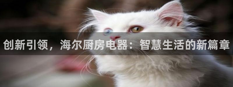 摩登7链接