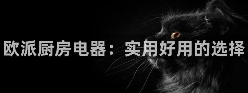 摩登招商臼金手指专业7