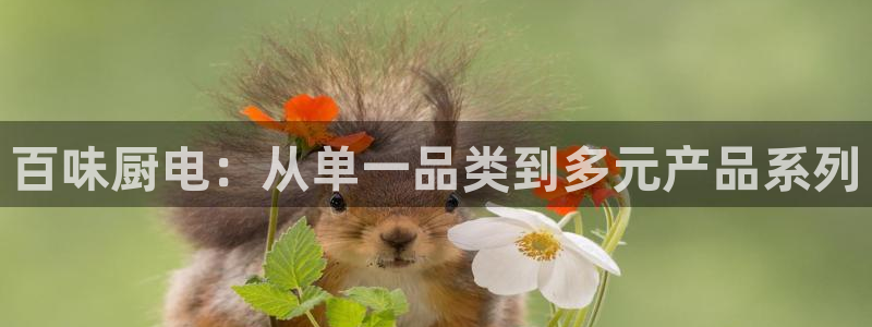 摩登7招商讨333OO