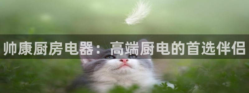 摩登乐园7