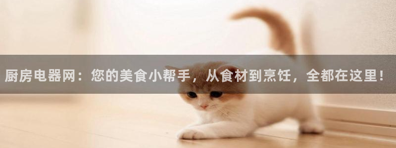 摩登7平台招商