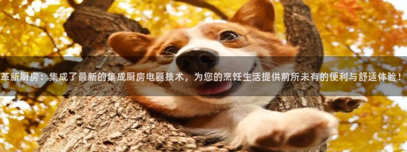 摩登7夜判官333OO