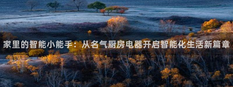 摩登4天7O667