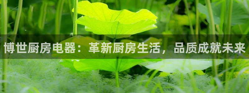 摩登7平台代理