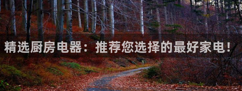 摩登7直属招商