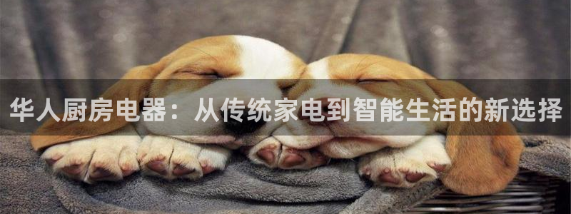 摩登7左