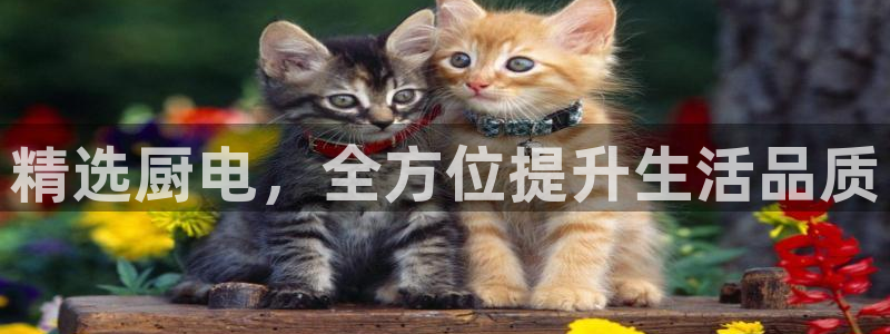 摩登7平台把7O777