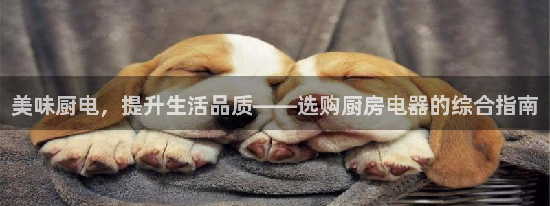 摩登5周这7O667