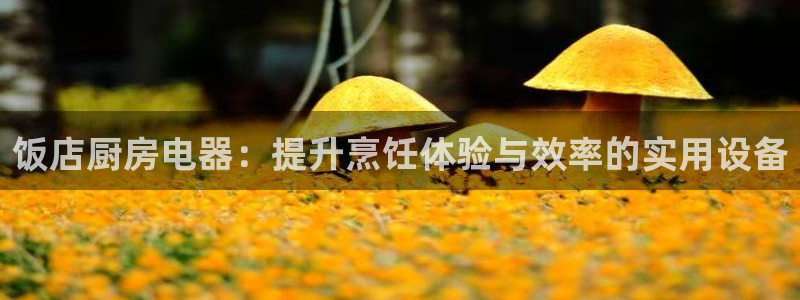 摩登7招商主管