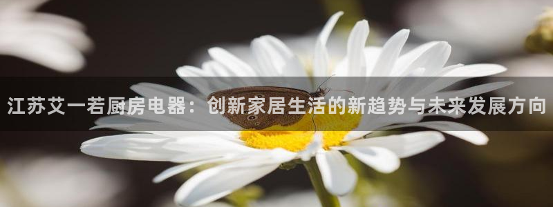 摩登7娱乐