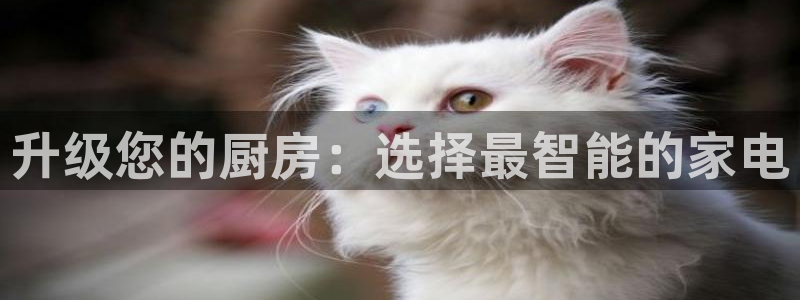 摩登7月3299O7