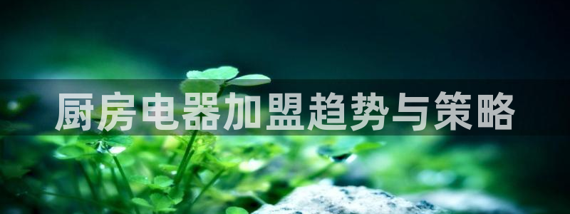 摩登7天3299O7
