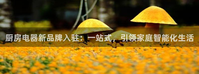 摩登6地7O667