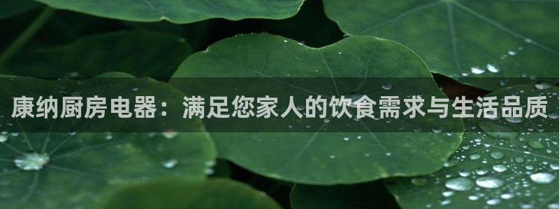 摩登7直属