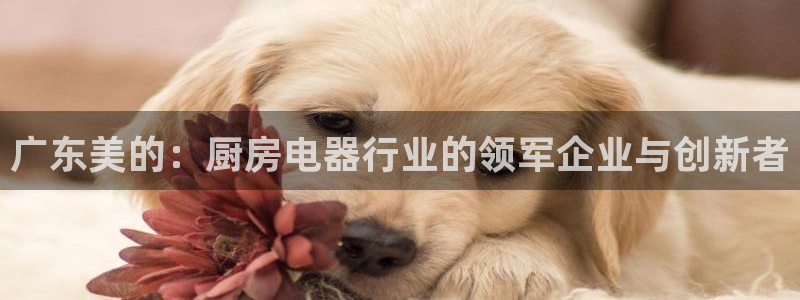 M摩登7