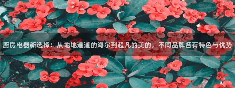 摩登7属于什么平台